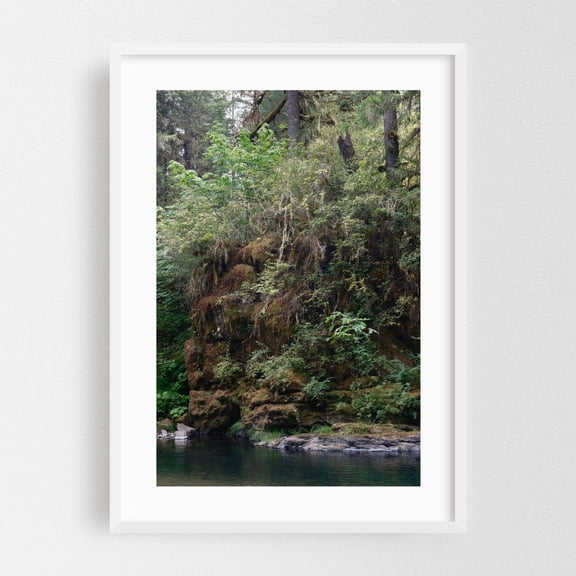 River Stones and Mossy Grasses - Oregon Photography Forest Woodland Nature Wilderness Scenic Lake Water White Framed Wall Art Print 16 x 24 inches