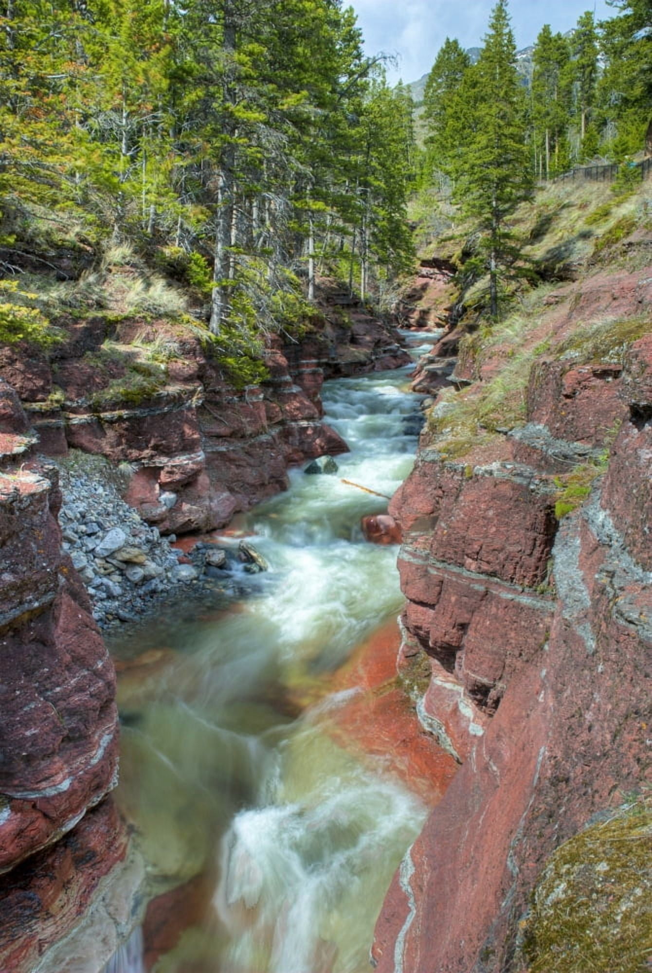 River Through Canyon Waterton Lakes National Park Alberta Canvas Art - Philippe Widling Design Pics (11 x 17)