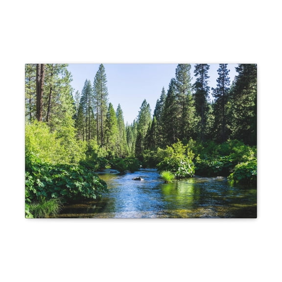 River Through The Green Forest Nature Wilderness Photography Canvas Wall Art for Home Decor Ready-to-Hang