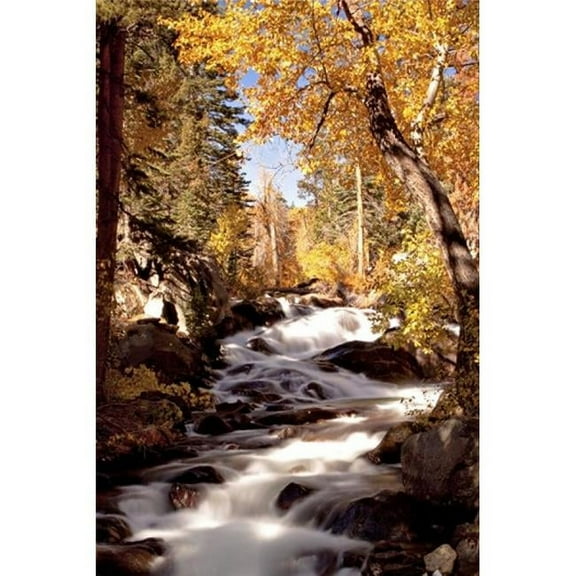 River & Trees Poster Print by Siep Bueneker - 24 x 36 in.