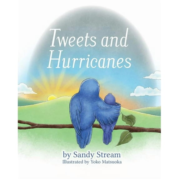 River Tweets and Hurricanes, Book 3, (Paperback)