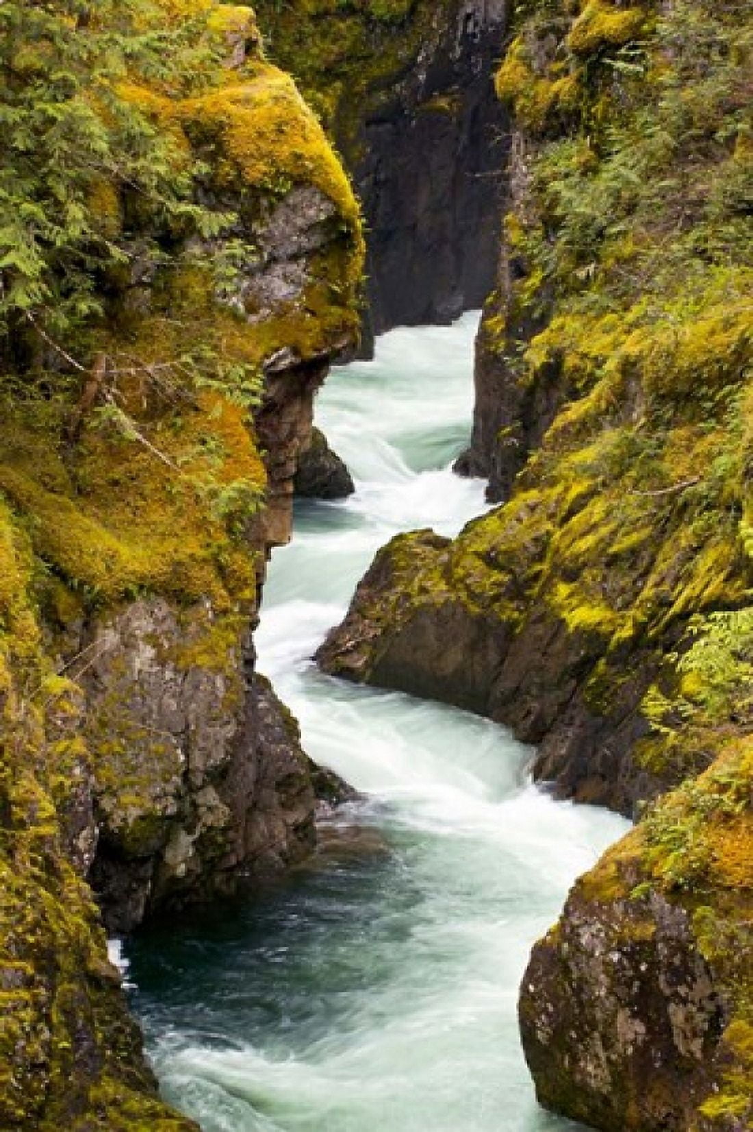 River Vancouver Island British Columbia Canvas Art - Paul Colangelo DanitaDelimont (17 x 26)