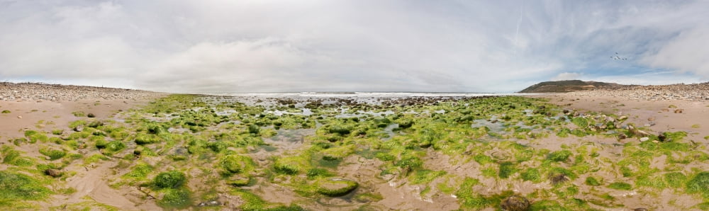 River delta and wetlands at low tide Ventura California USA Canvas Art - Panoramic Images (36 x 12)