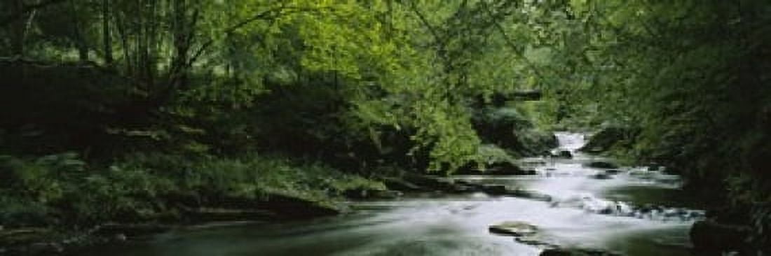 River flowing in the forest Aberfeldy Perthshire Scotland Canvas Art - Panoramic Images (18 x 6)