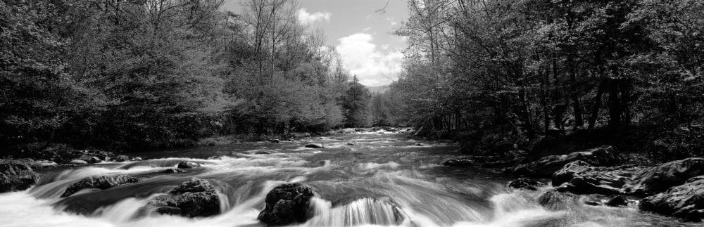 River flowing through rocks in a forest Little Pigeon River Great Smoky Mountains National Park Sevier County Tennessee USA Canvas Art - Panoramic Images (6 x 18)