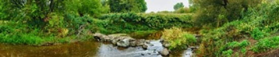 River flowing through a forest Acadia River Quebec Canada Canvas Art - Panoramic Images (38 x 8)
