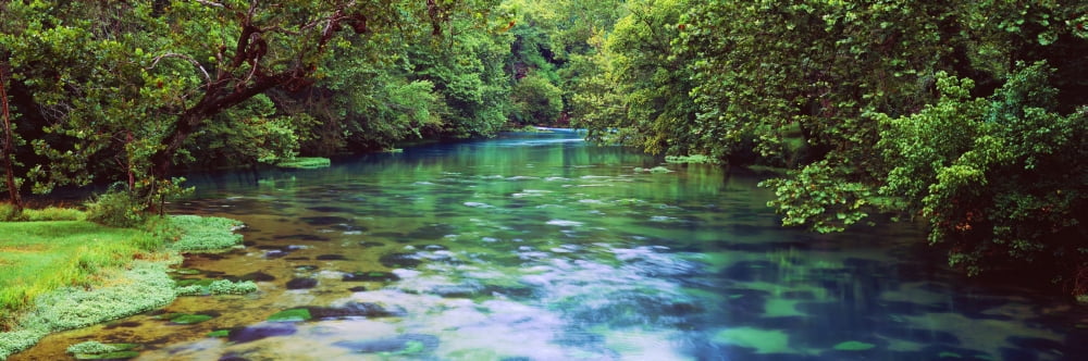 River flowing through a forest Big Spring Ozark National Scenic Riverways Missouri USA Canvas Art - Panoramic Images (36 x 12)
