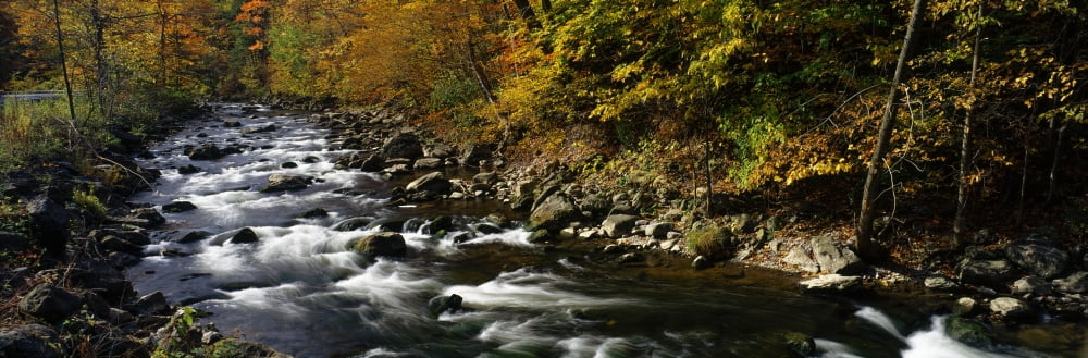 River flowing through a forest Chittenango Creek New York State USA Canvas Art - Panoramic Images (12 x 36)