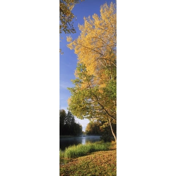 River flowing through a forest, Dal River, Sweden Poster Print (18 x 6)