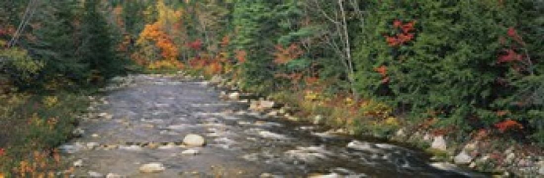 River flowing through a forest Ellis River White Mountains New Hampshire USA Canvas Art - Panoramic Images (18 x 6)