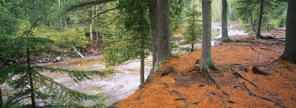River flowing through a forest Gooseberry River Gooseberry Falls State Park Minnesota USA Canvas Art - Panoramic Images (27 x 9)