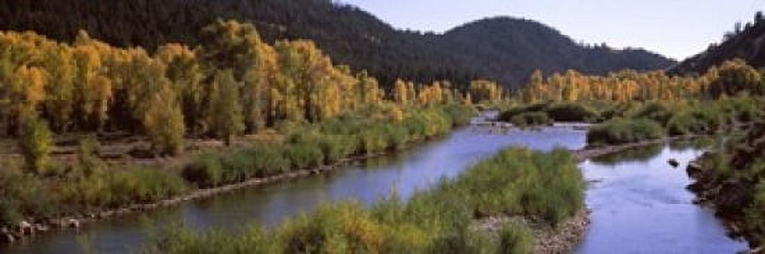 River flowing through a forest Jackson Jackson Hole Teton County Wyoming USA Canvas Art - Panoramic Images (18 x 6)