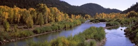 River flowing through a forest Jackson Jackson Hole Teton County Wyoming USA Canvas Art - Panoramic Images (36 x 12)