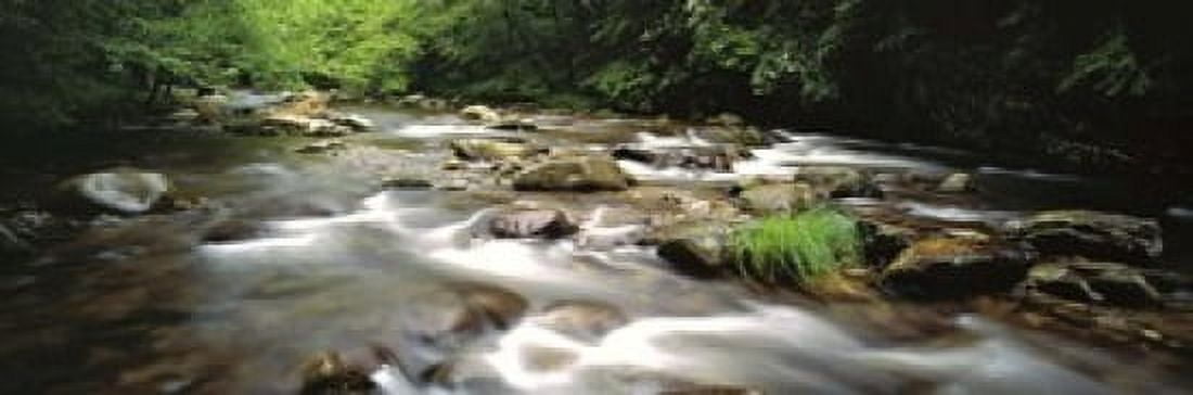 River flowing through a forest Little Pigeon River Great Smoky Mountains National Park Tennessee USA Canvas Art - Panoramic Images (18 x 6)