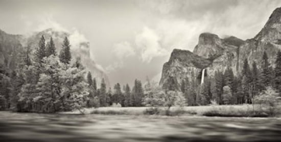 River flowing through a forest Merced River Yosemite Valley Yosemite National Park California USA Canvas Art - Panoramic Images (24 x 12)