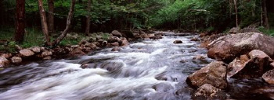 River flowing through a forest Moose River Adirondack Mountains New York State USA Canvas Art - Panoramic Images (18 x 7)