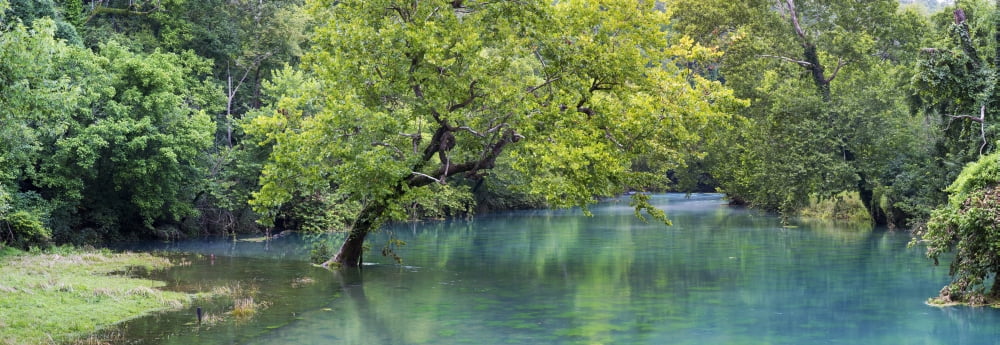 River flowing through a forest Ozark National Scenic Riverways Van Buren Carter County Missouri USA Canvas Art - Panoramic Images (27 x 9)