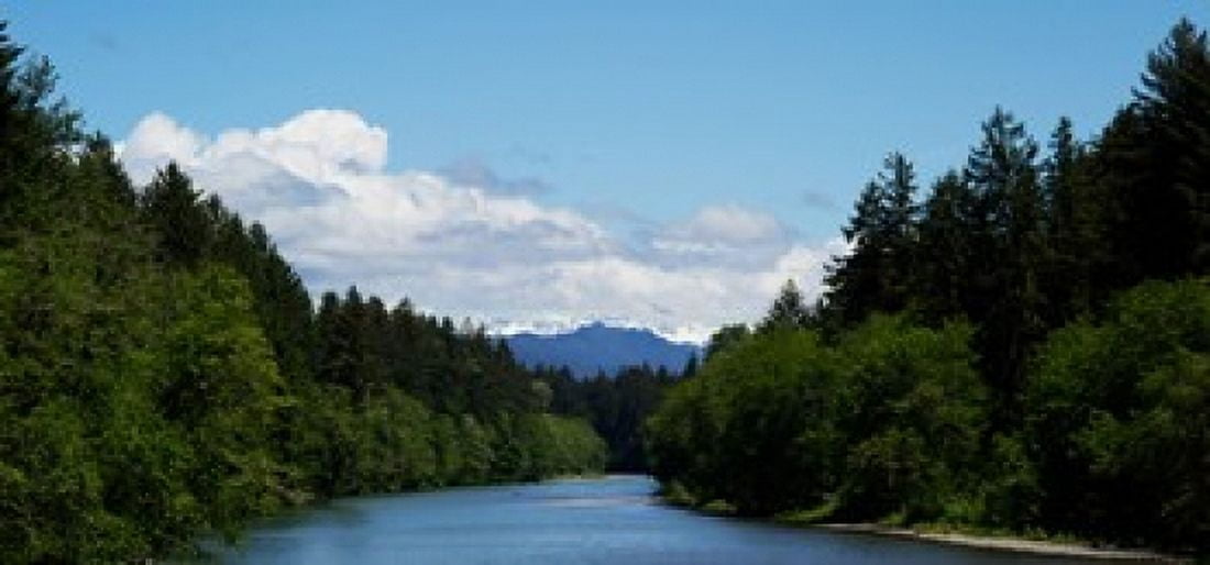River flowing through a forest Queets Rainforest Olympic National Park Washington State USA Canvas Art - Panoramic Images (24 x 12)