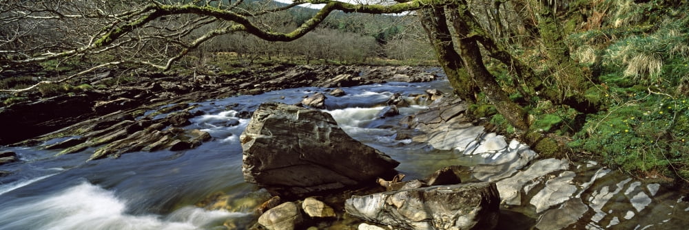 River flowing through a forest River Orchy Glenorchy Highlands Region Scotland Canvas Art - Panoramic Images (27 x 9)
