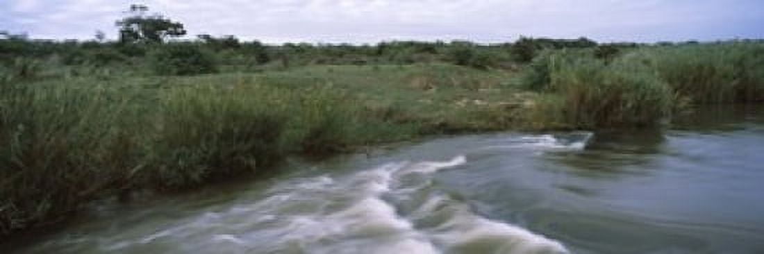 River flowing through a forest Sabie River Kruger National Park South Africa Canvas Art - Panoramic Images (18 x 6)