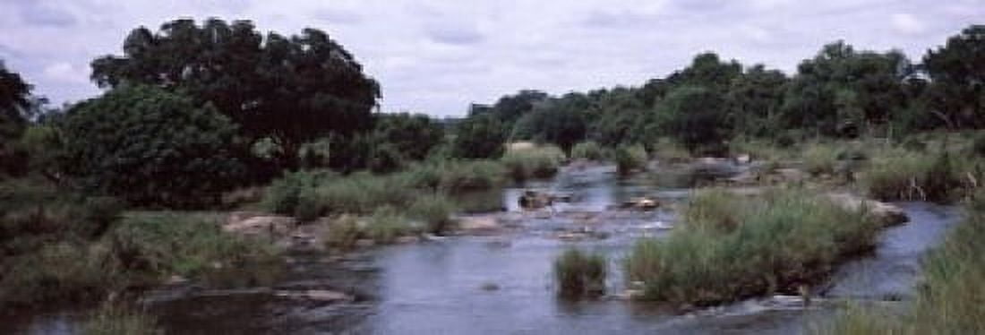 River flowing through a forest Sabie River Kruger National Park South Africa Canvas Art - Panoramic Images (18 x 6)