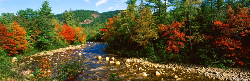 River flowing through a forest Swift River White Mountain National Forest Carroll County New Hampshire USA Canvas Art - Panoramic Images (12 x 36)