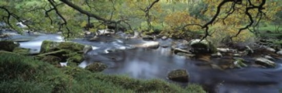 River flowing through a forest West Dart River Dartmeet Devon England Canvas Art - Panoramic Images (36 x 12)