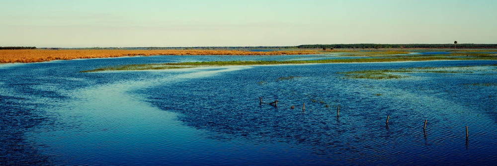 River flowing through a landscape St Johns River Florida USA Canvas Art - Panoramic Images (12 x 36)