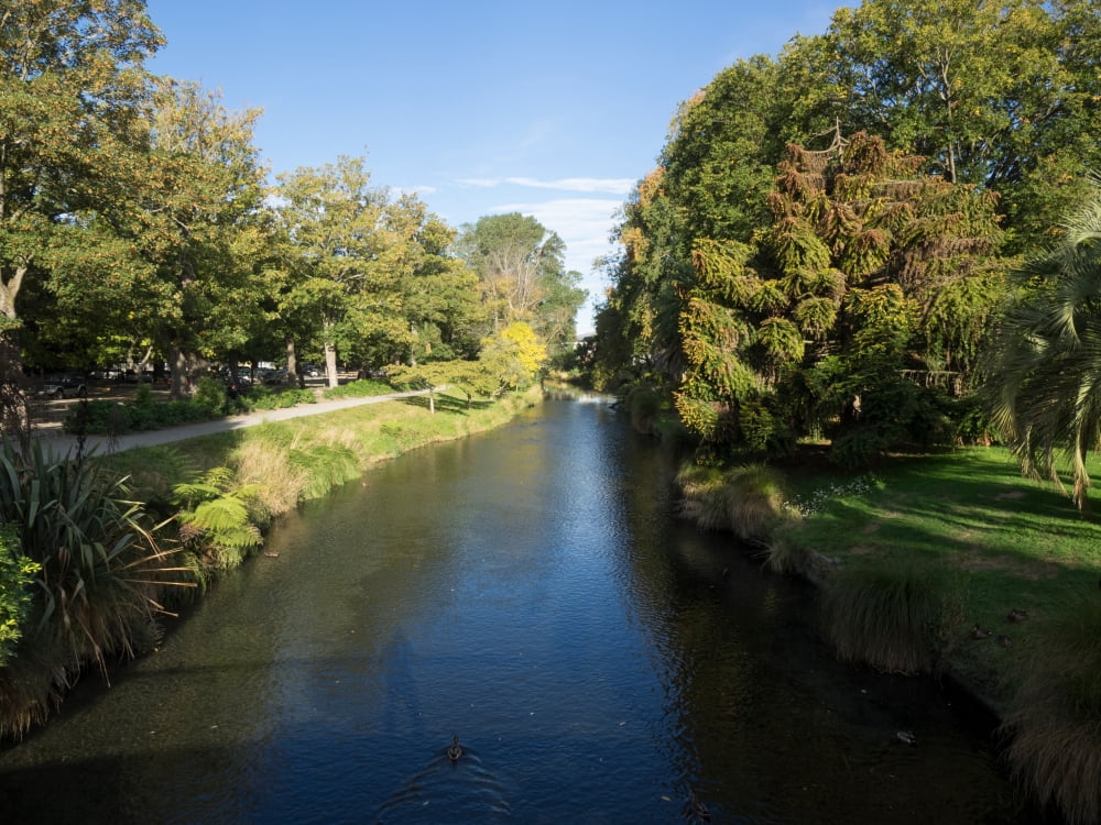 River flowing through a park Hagley Park Christchurch South Island New Zealand Canvas Art - Panoramic Images (18 x 24)