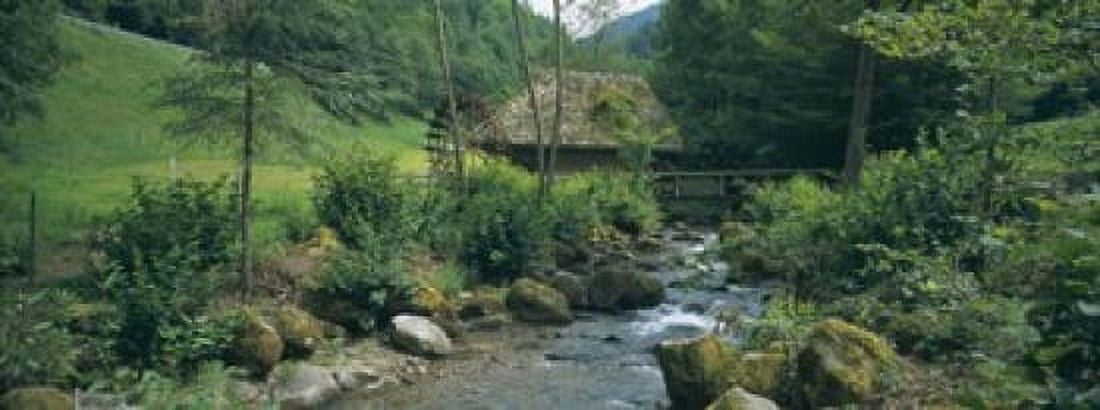 River flowing through forest Black Forest Glottertal Germany Canvas Art - Panoramic Images (15 x 6)