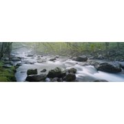 River flowing through the forest Little Pigeon River Great Smoky Mountains National Park Tennessee USA Canvas Art - Panoramic Images 36 x 12