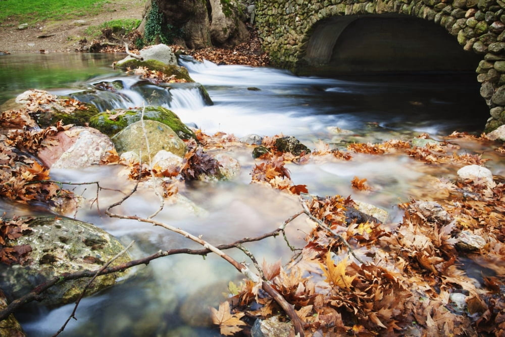 River flowing under stone bridge with floating autumn coloured leaves Naoussa Greece Canvas Art - Reynold Mainse Design Pics (38 x 24)