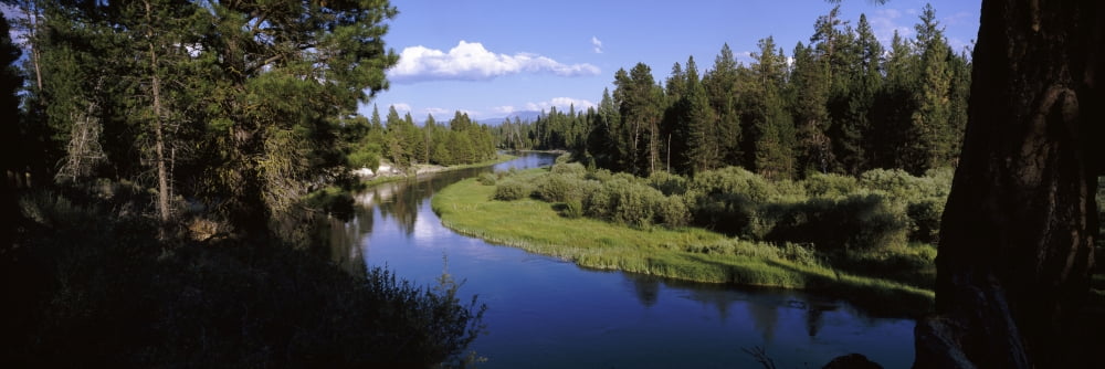River in a forest Don McGregor Viewpoint La Pine State Park Deschutes County Oregon USA Canvas Art - Panoramic Images (27 x 9)