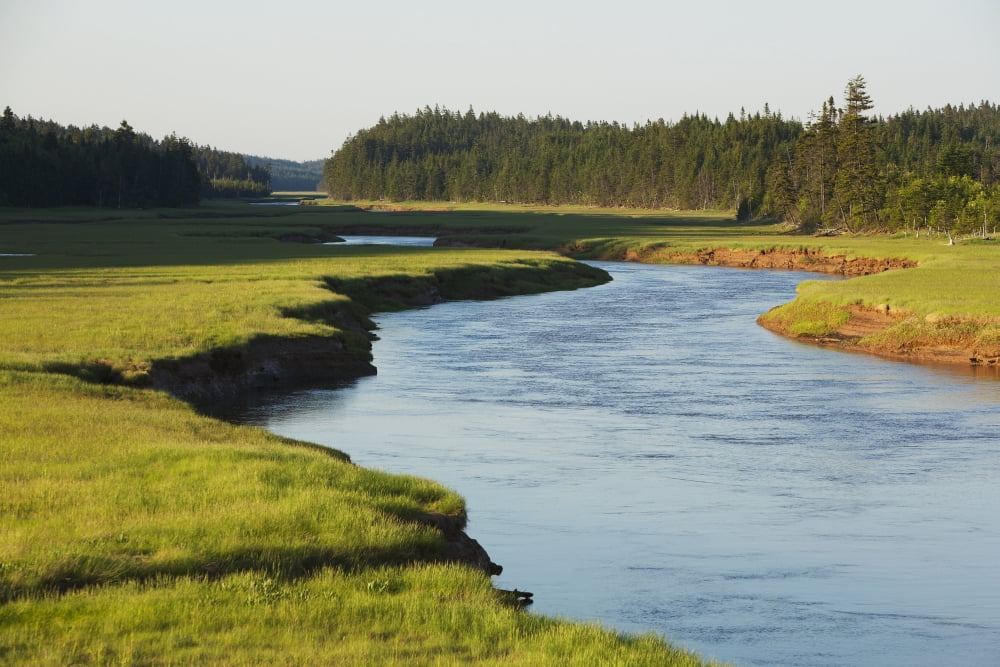 River near Alma New Brunswick Canada Canvas Art - Carl Bruemmer Design Pics (19 x 12)