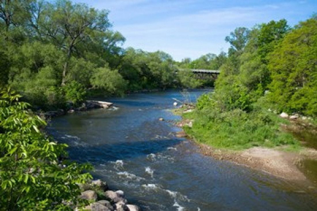 River passing through a forest Beaver River Ontario Canada Canvas Art - Panoramic Images (36 x 24)