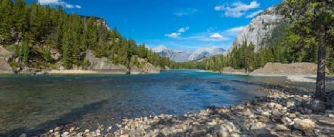 River passing through a forest Bow River Banff National Park Alberta Canada Canvas Art - Panoramic Images (30 x 13)