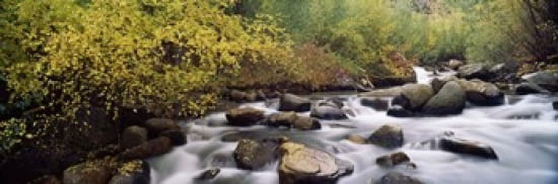 River passing through a forest Inyo County California USA Canvas Art - Panoramic Images (18 x 6)