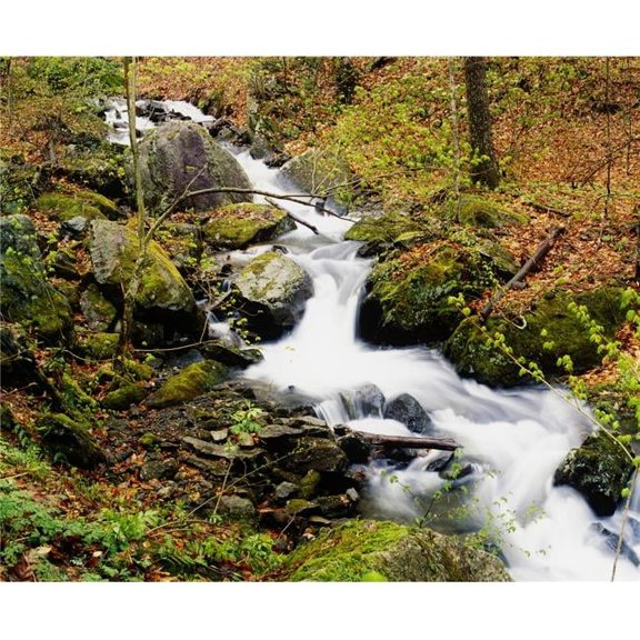 River with Fallen Autumn Leaves in The Forest Poster Print by David Chapman - 32 x 26 - Large