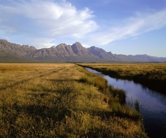 River with a mountain range in the background Hermon Farm outside of Cape Town South Africa Canvas Art - Panoramic Images (36 x 32)