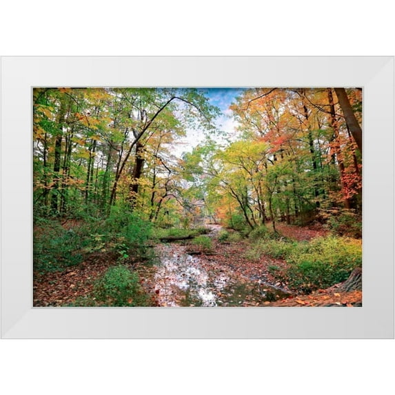 Rivera, John 32x23 White Modern Wood Framed Museum Art Print Titled - Autumn at Hopkins Pond