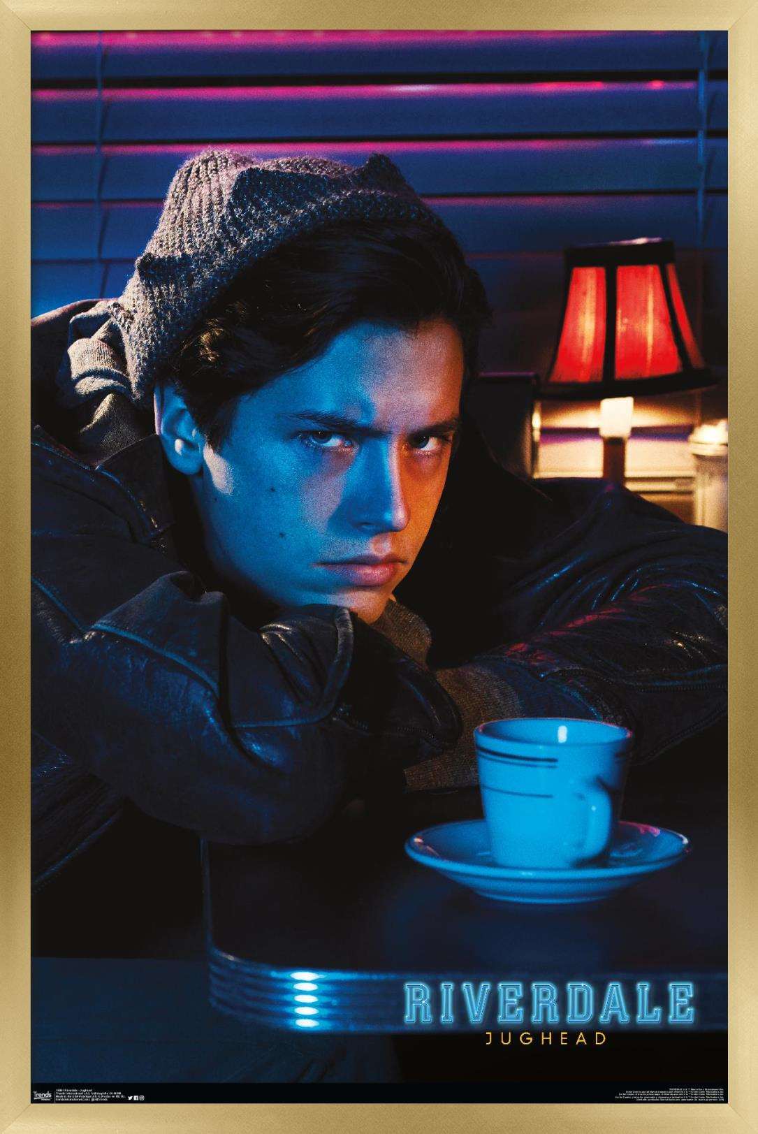 Riverdale - Jughead Wall Poster, 22.375" x 34", Framed
