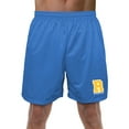 thumbnail image 1 of Riverdale Varsity Letter Mens Lined Mesh Shorts, Royal, Medium, 1 of 6