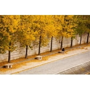 Riverfront, Ile de la Cite, Paris, Ile-de-France, France Poster Print by Panoramic Images 36 x 24
