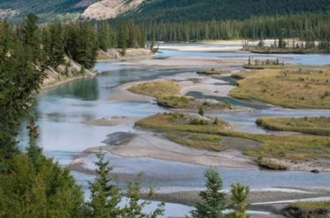 Rivers in Jasper National Park Canada Canvas Art - Raymond Klass DanitaDelimont (28 x 19)