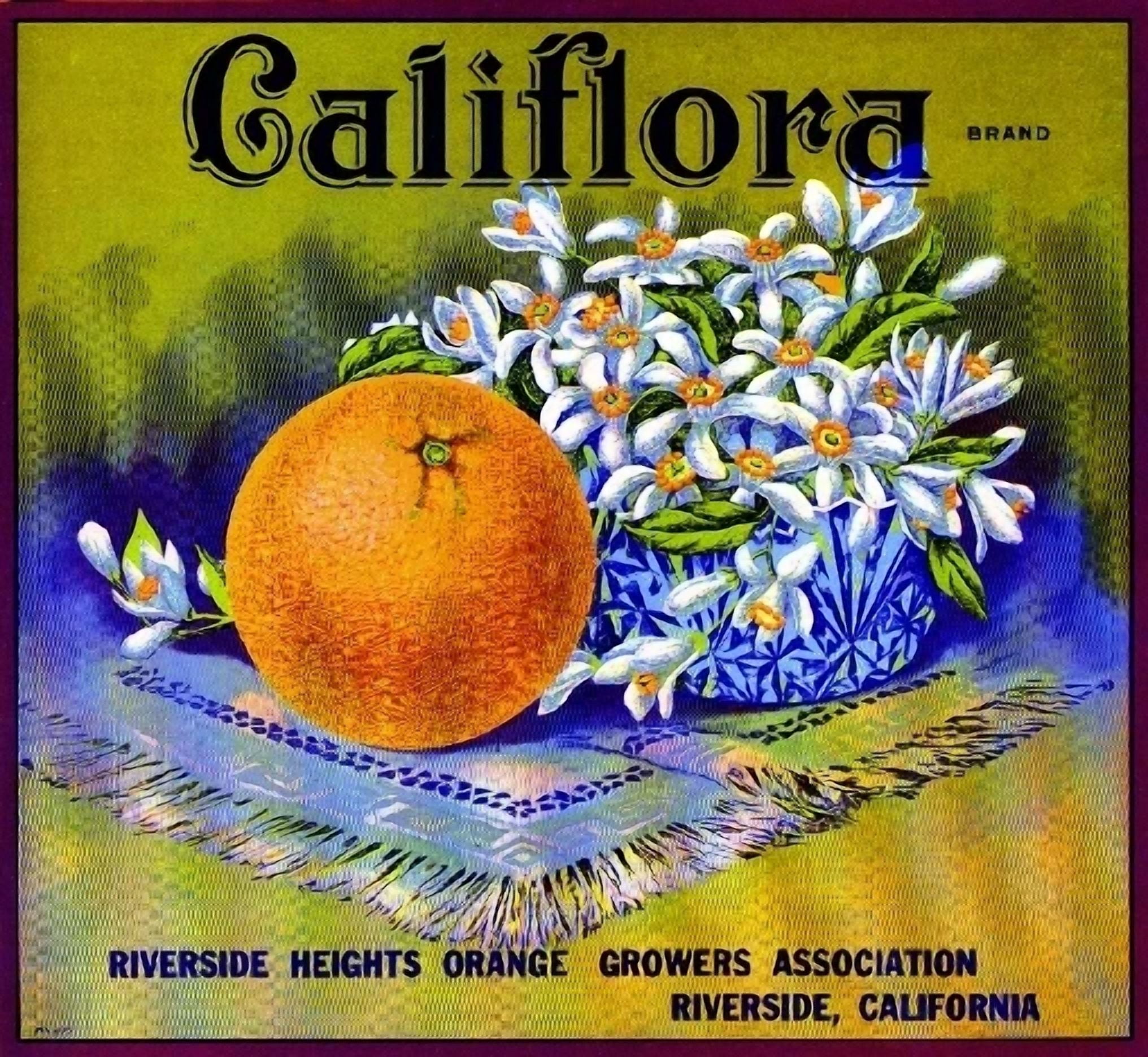 Orange Roses On Riverside Riverside Califlora Orange Citrus Office Poster , Poster Print Only ...