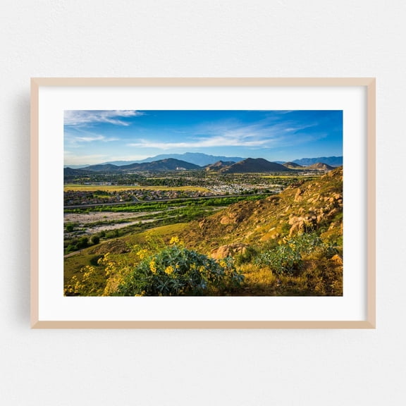 Riverside California Rural Mountain Flower Landscape Poster Unframed Paper Print