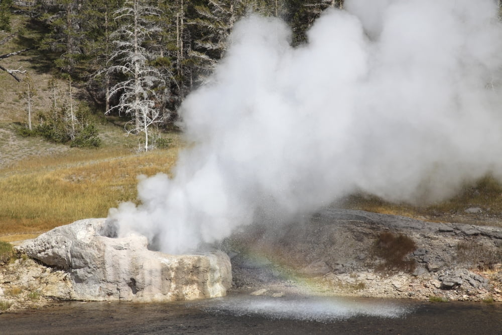 Riverside Geyser erupting Upper Geyser Basin geothermal area Yellowstone National Park Canvas Art - Richard RoscoeStocktrek Images (35 x 23)