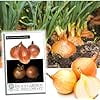 thumbnail image 1 of Riverside Sweet Spanish Onion Seeds for Planting, 300+ Heirloom Seeds Per Packet, Non GMO Seeds, Botanical Name: Allium cepa, Great Home Garden Gift, 1 of 8