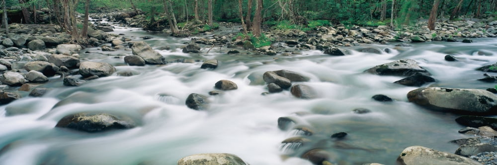 Riverstream Tennessee Canvas Art - Panoramic Images (27 x 9)