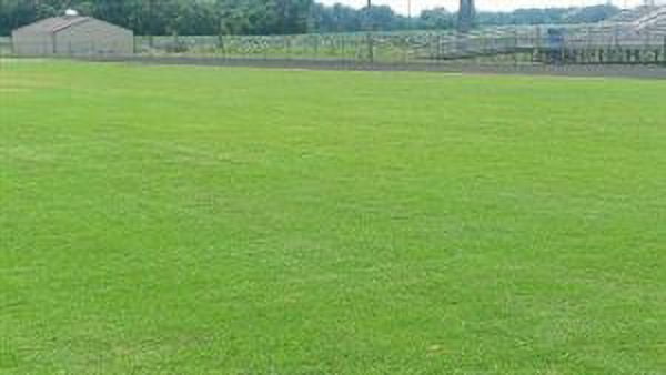 Johnston Seed Riviera Bermuda Grass Seeds, 1 lb - Pail